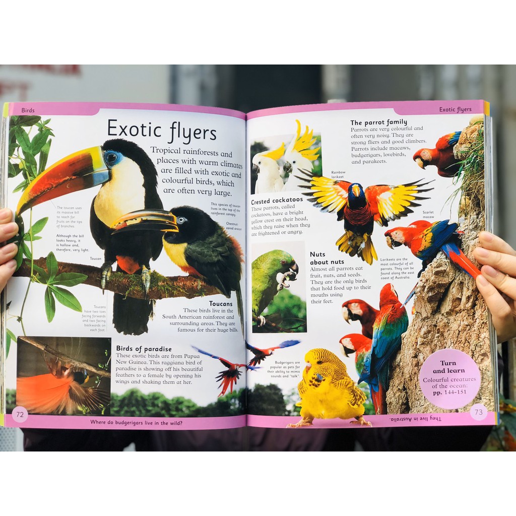 Sách Bách khoa toàn thư - First Animal Encyclopedia - Tổng Hợp Kiến Thức Về Thế Giới Động Vật, Những Điều Mà Trẻ Em Luôn Muốn Biết - Á Châu Books, Bìa Cứng, In Màu