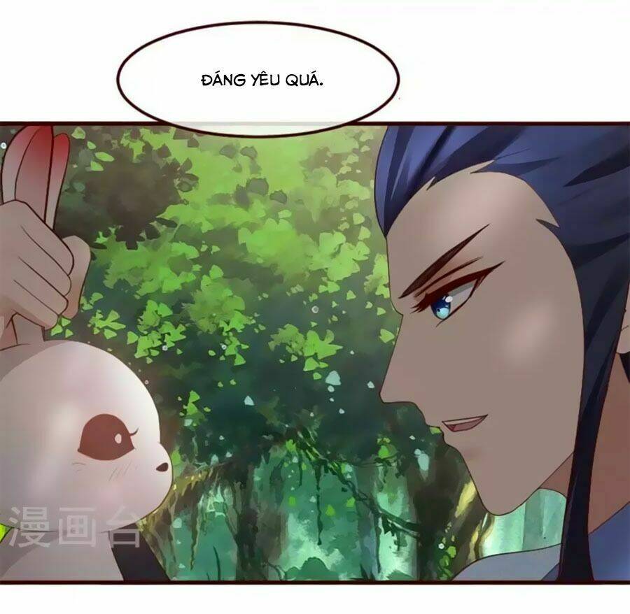 thỏ yêu tiểu vương phi chapter 1 7