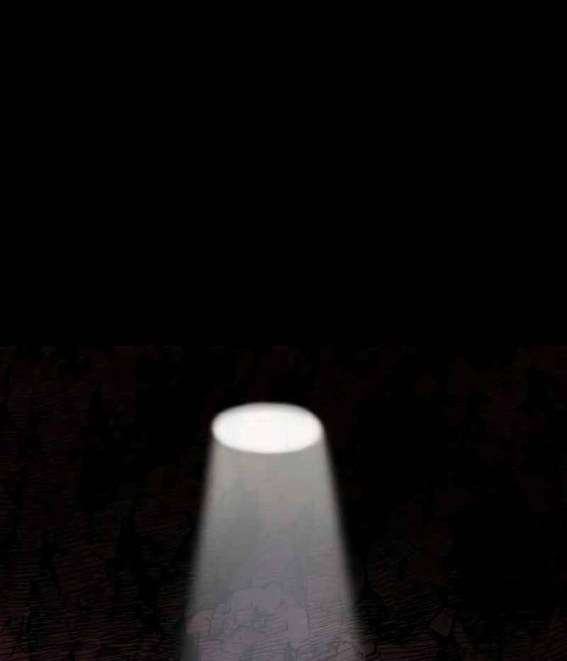 Sự Trở Lại Của Anh Hùng Diệt Thế chapter 45.5 35