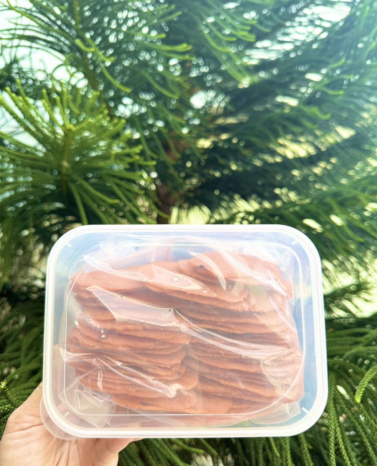 Bánh Phồng Cá Hồi 500gr