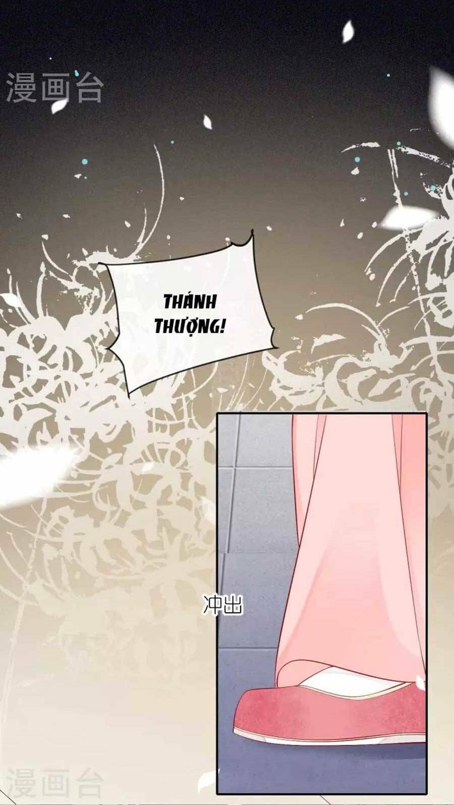 tướng quân, bổn phi không nhận sủng chapter 26 5