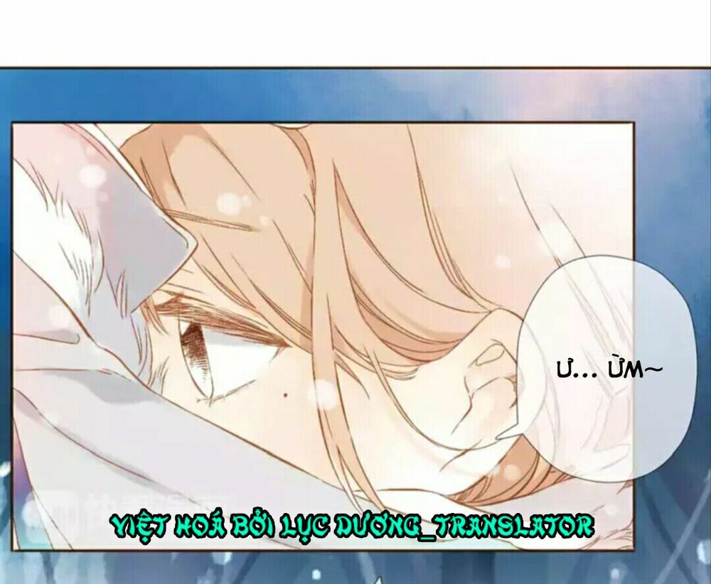 Tình yêu là màu hoa anh thảo chapter 29.2 29