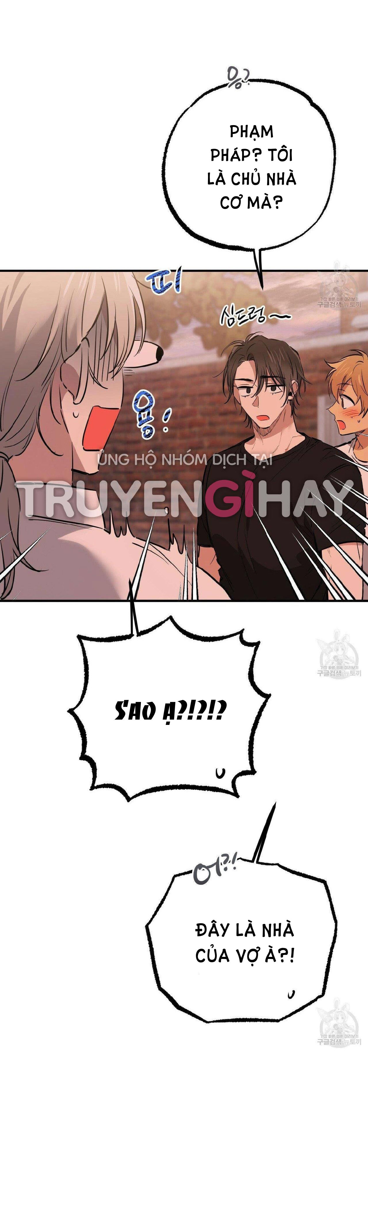 những chú thỏ của hapypy chapter 51.2 21