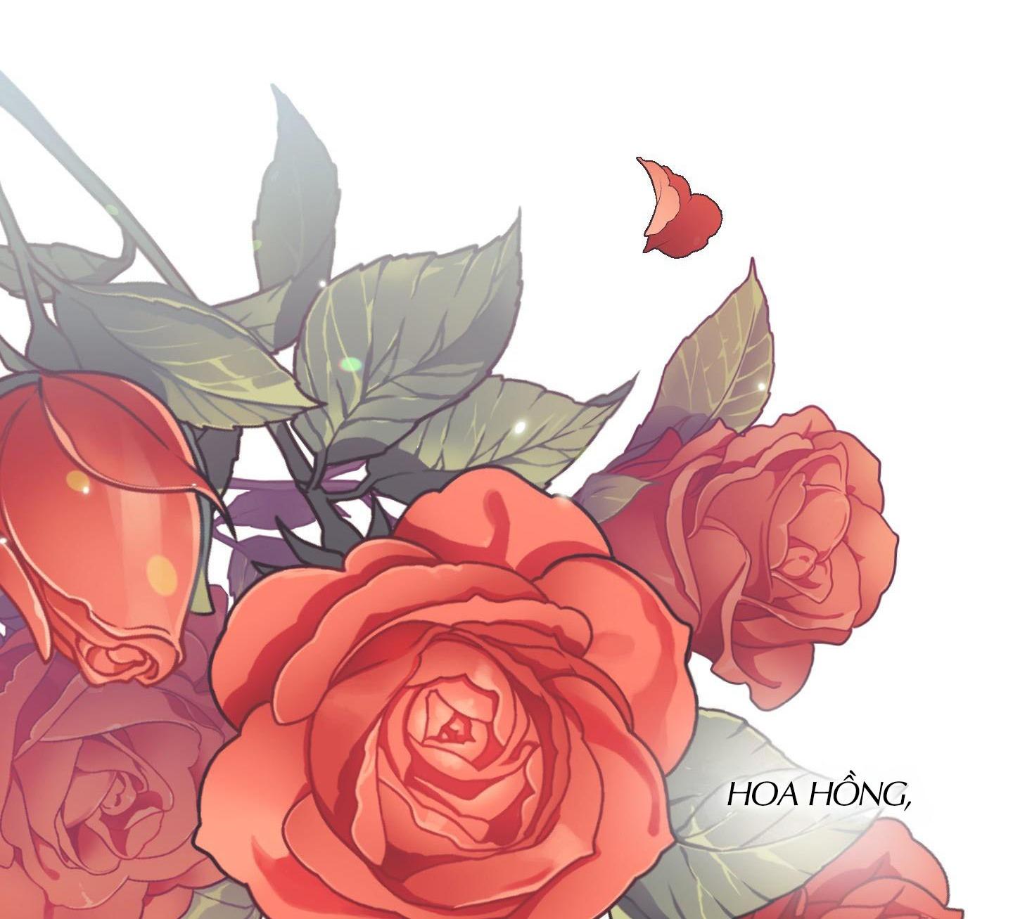 định tên mối quan hệ chapter 28 57