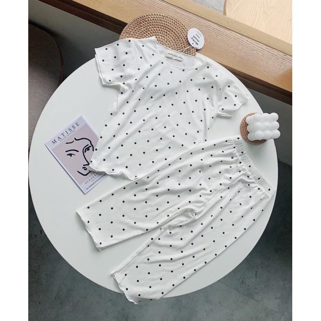 Bộ cotton co dãn cho bé 7-20kg