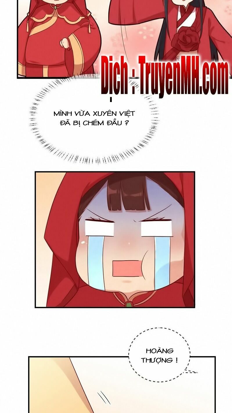 101 mỹ nam của vương phi béo phì chapter 4 5