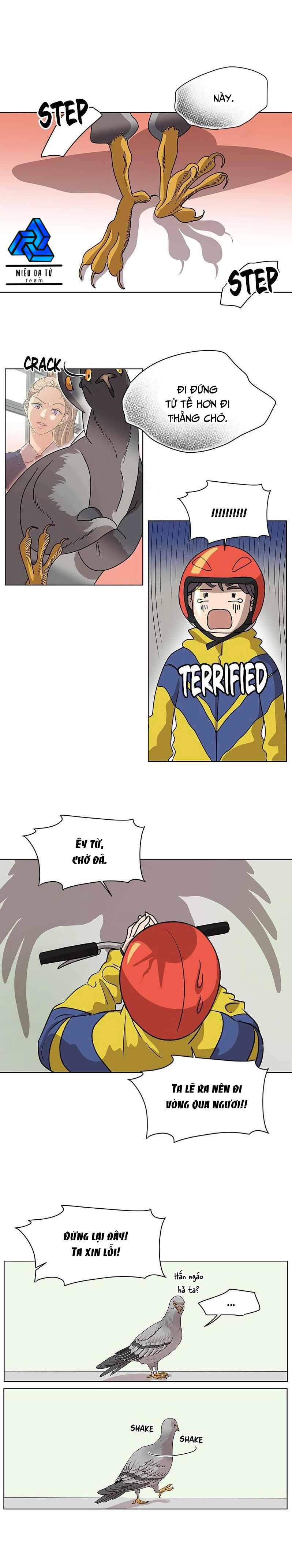 câu lạc bộ fox chapter 3 8