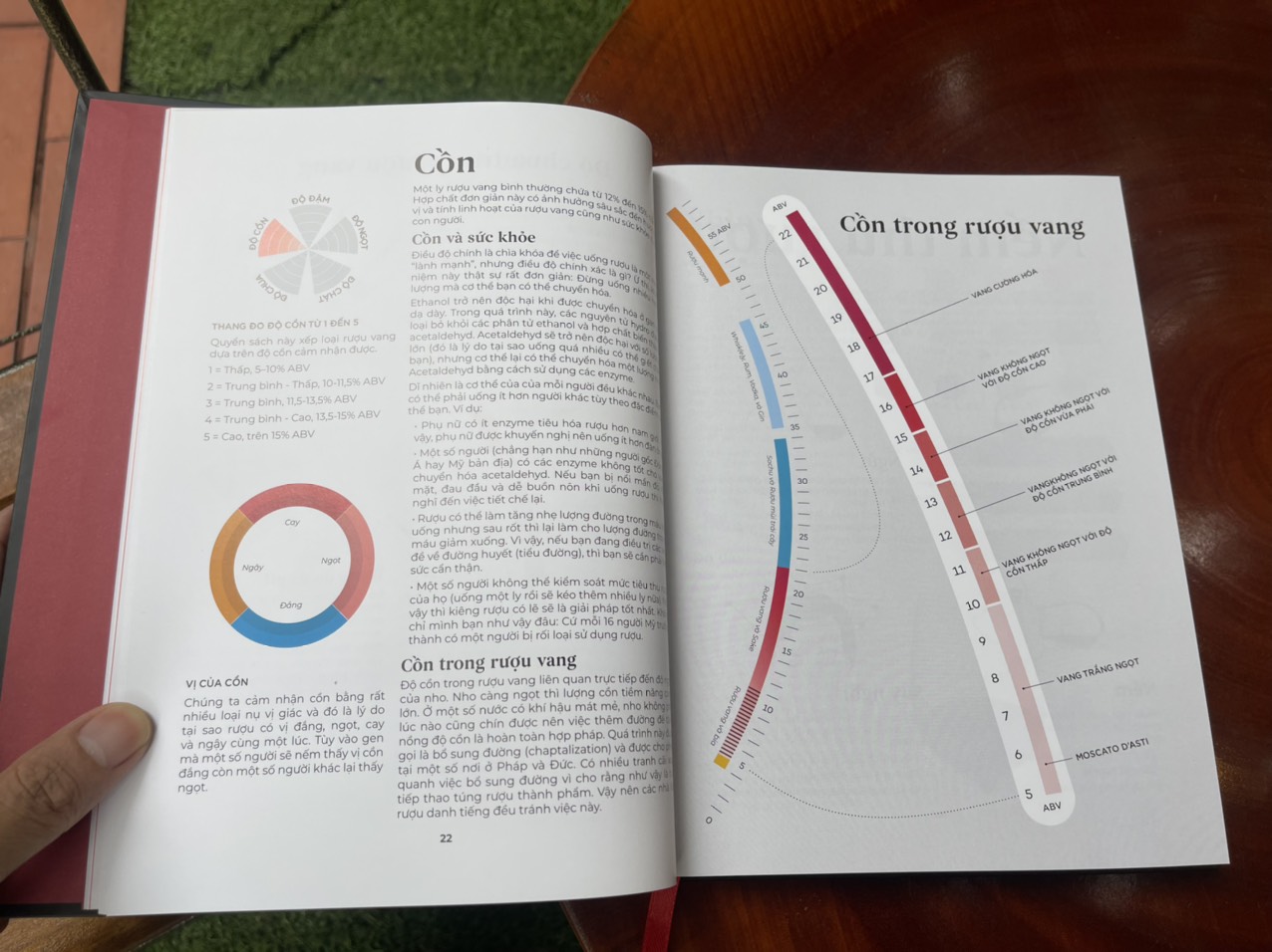 (Bìa cứng – In màu toàn bộ) WINE FOLLY Toàn Tập (Phiên bản Magnum) – TYG – NXB Phụ Nữ