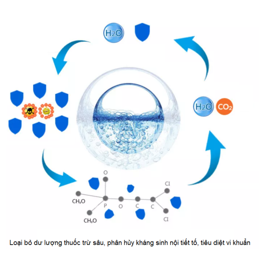 Máy rửa và khử khuẩn thực phẩm bằng Ozone, chứng nhận Châu Âu. Thương hiệu Mỹ Septree cao cấp AXM-810. Hàng chính hãng