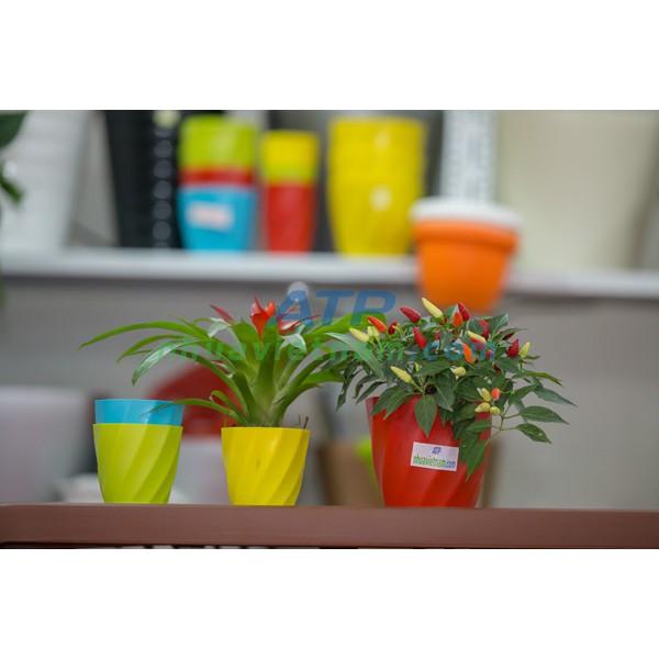 Chậu nhựa tròn trồng hoa xoắn kích thước 13cm x 12cm