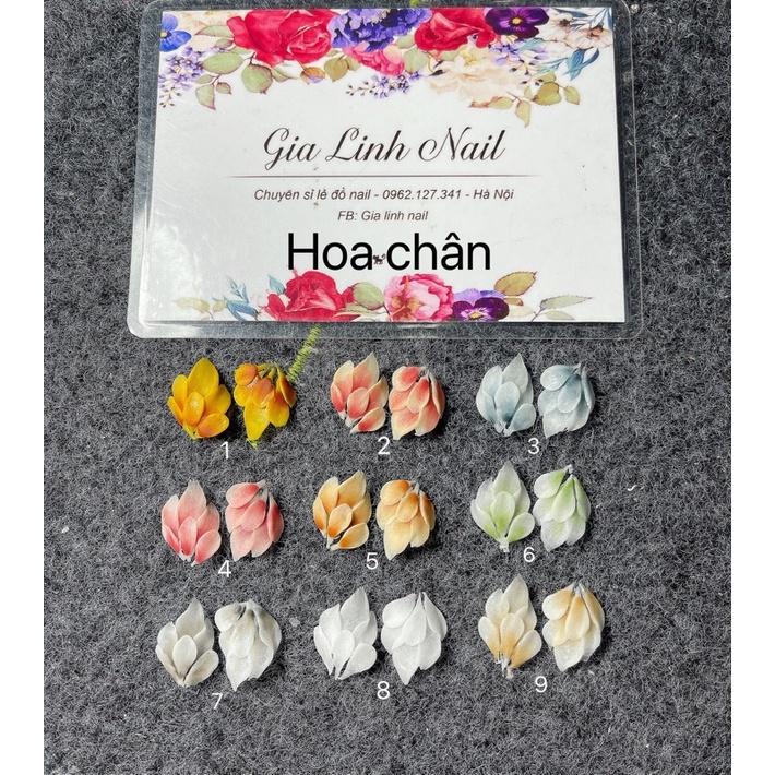 Hoa bột nail gắn móng chân | Hoa đối xứng