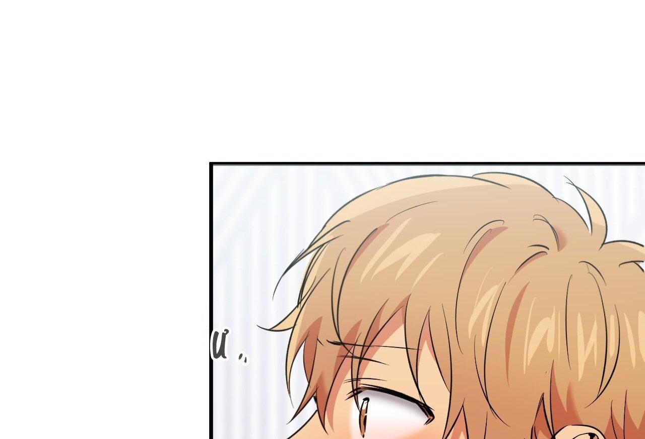 những chú thỏ của hapypy chapter 61 18