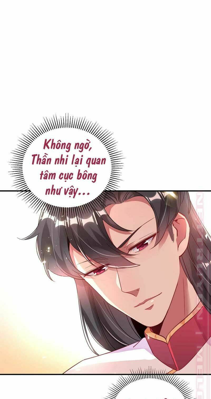 thiên thần gấu trúc muốn được ôm chapter 63 10