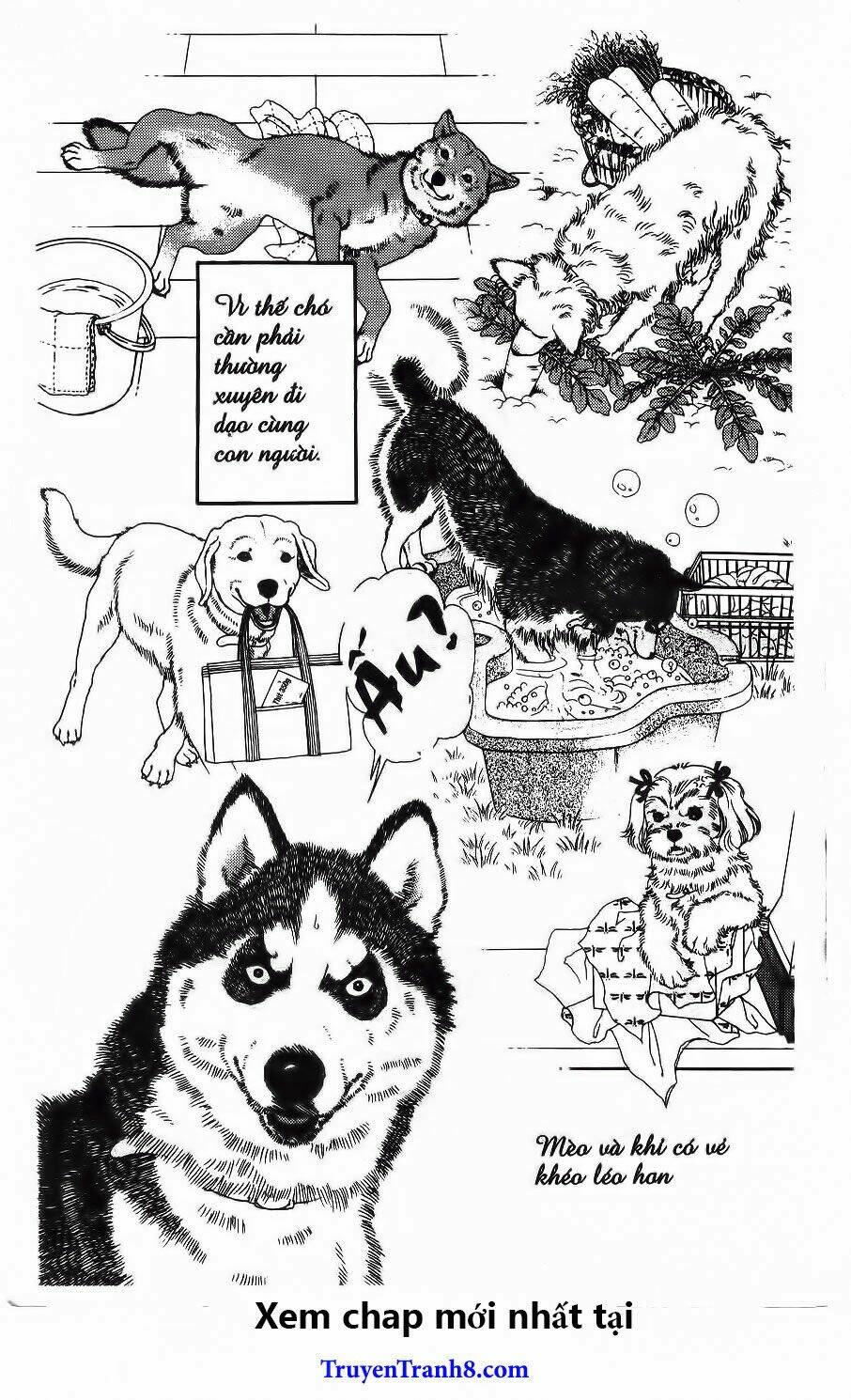 bác sĩ thú y chapter 80 26