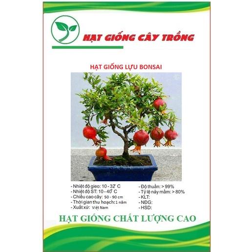 Hạt Giống Cây Lựu Bonsai - Gói 5 hạt