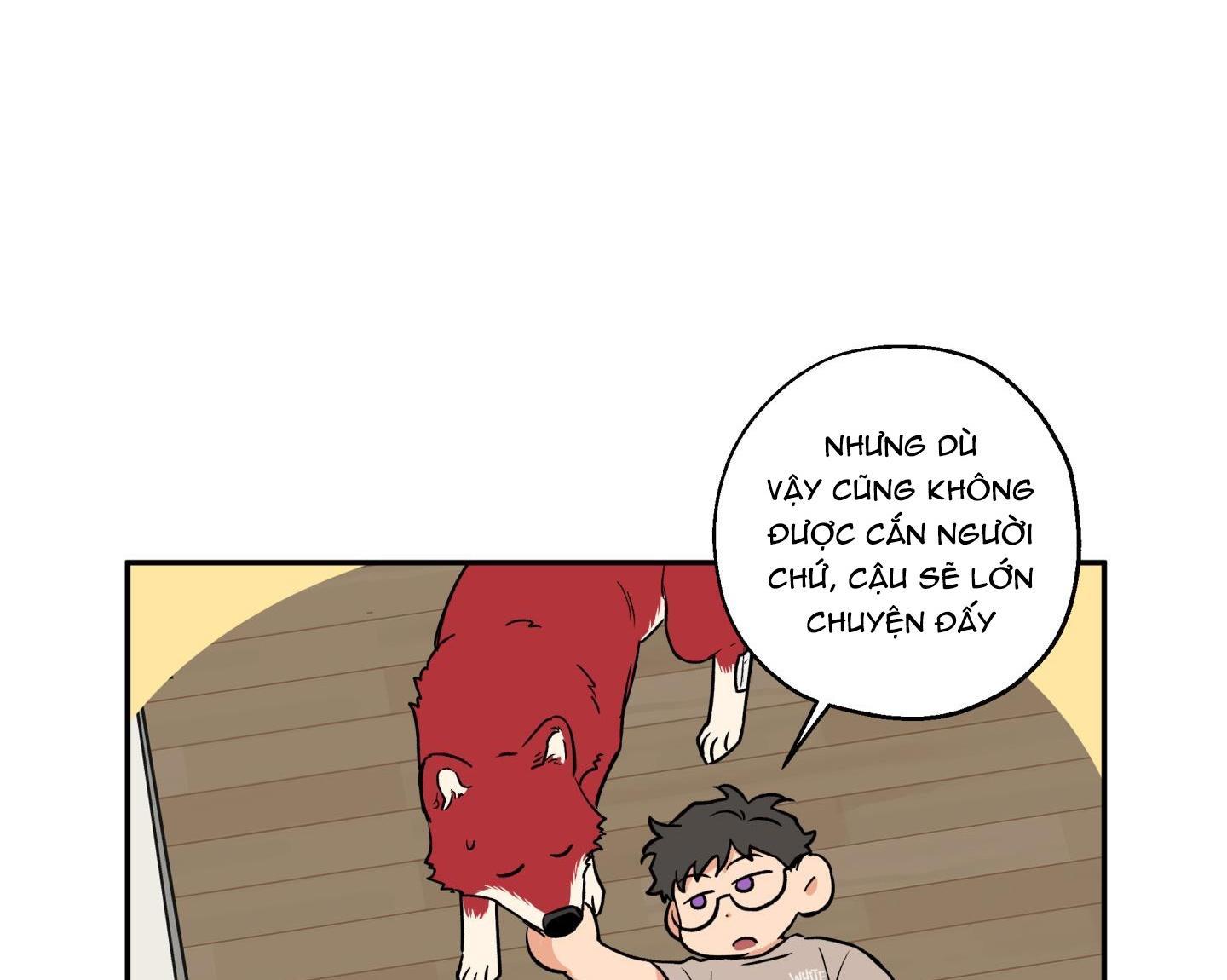 gâu gâu! chapter 43 111