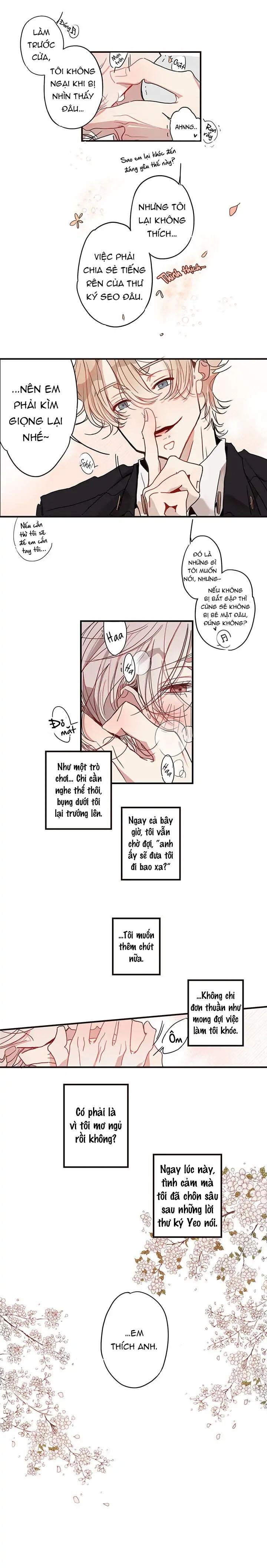 này thỏ ơi chapter 2 6