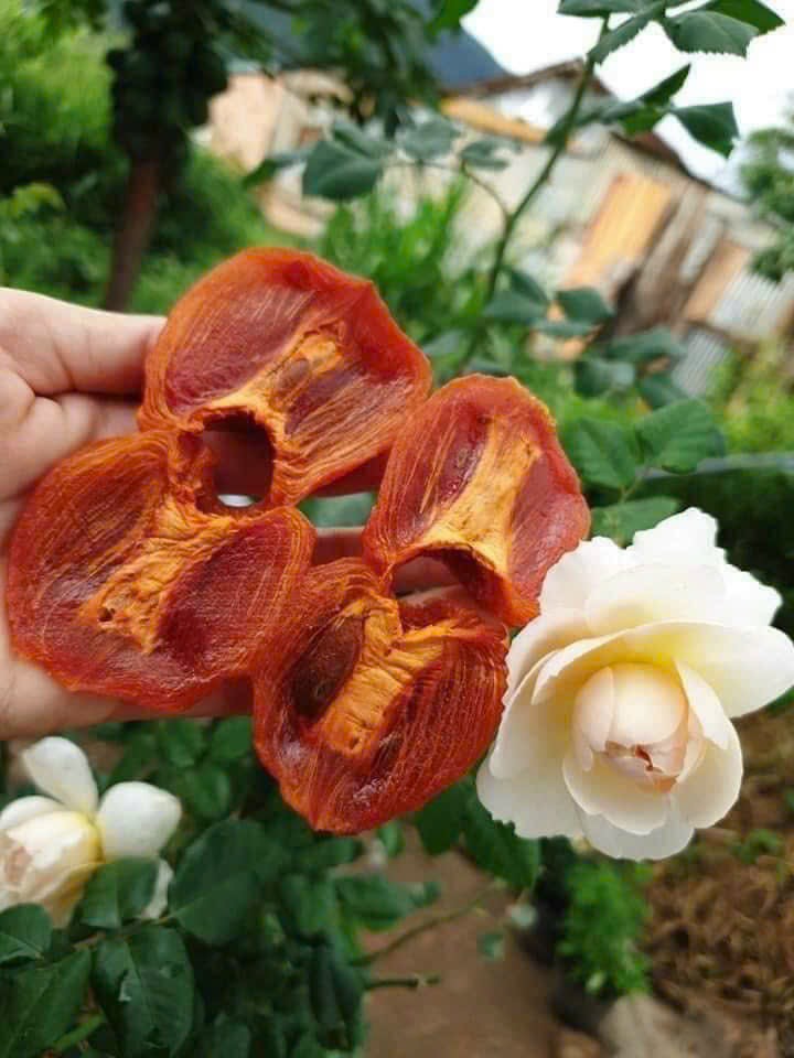 Hồng sấy dẻo đà lạt túi 500g