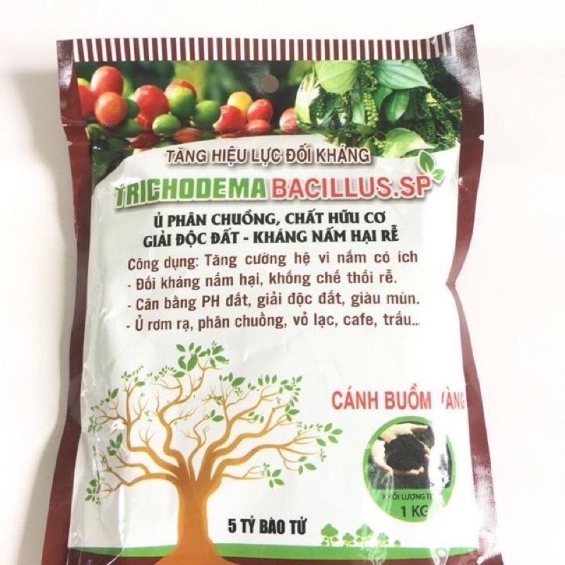 Nấm mem ủ Trichoderma ĐẶC BIỆT 1kg