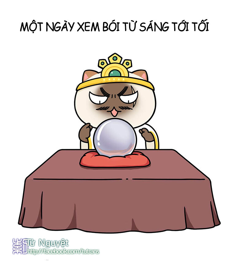 nếu lịch sử là một bầy mèo chapter 10 14