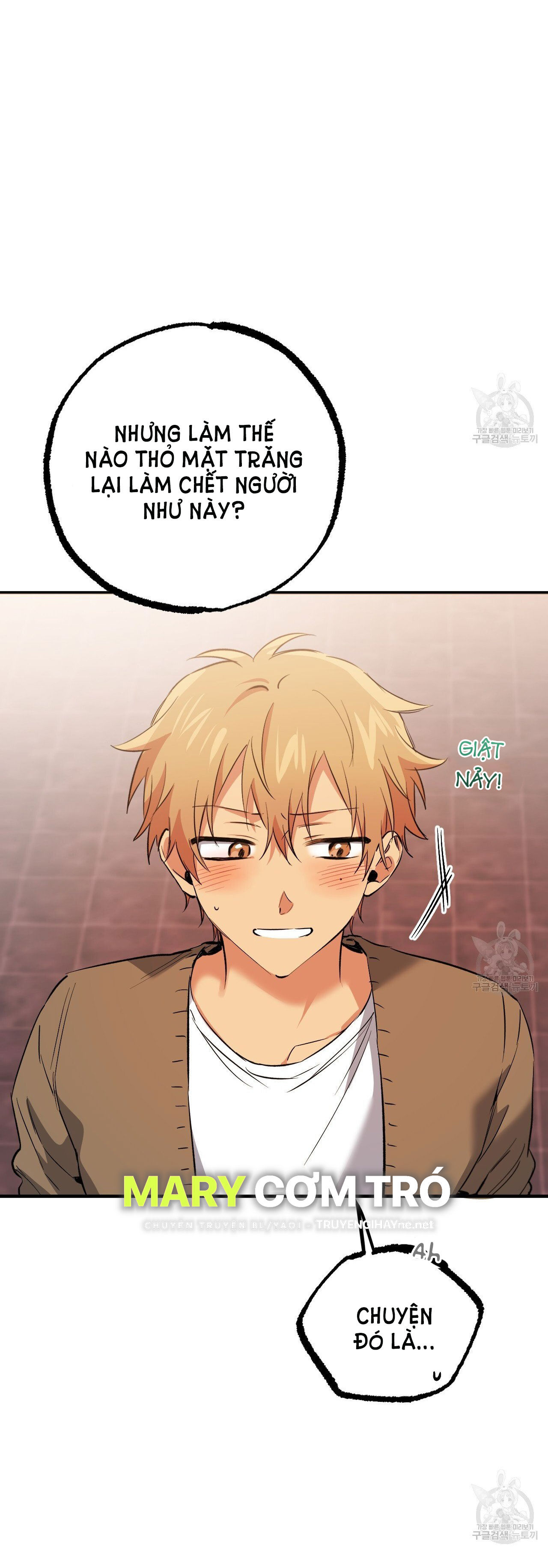 những chú thỏ của hapypy chapter 62.2 4