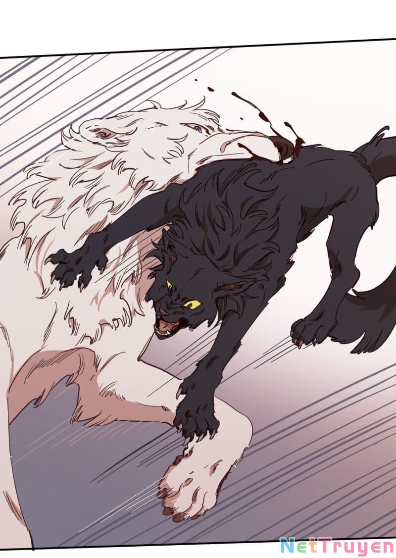 lumine - cội nguồn ánh sáng chapter 77 31