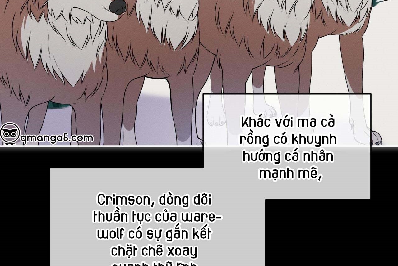 luân đôn trong màn đêm chapter 26 140