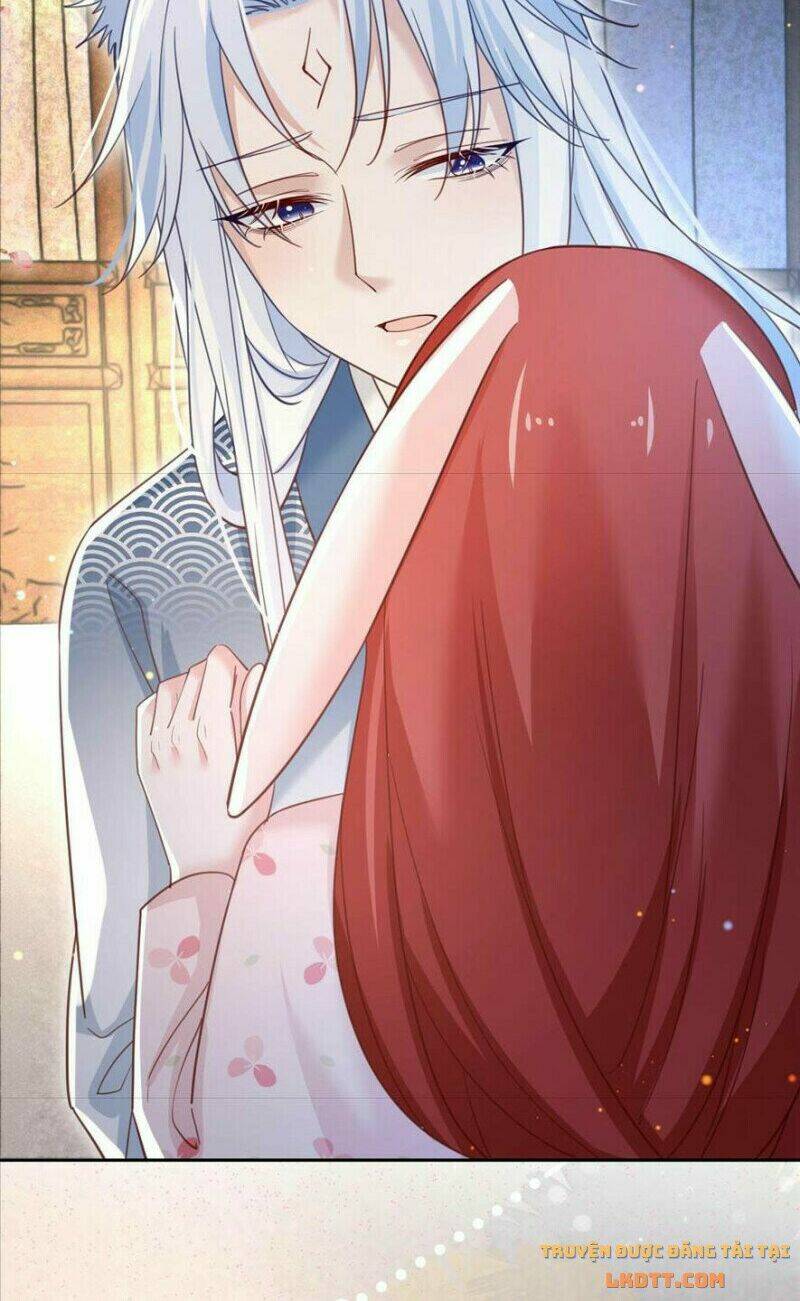 hắc hóa nam chính trực tuyến nuôi thỏ chapter 66 32