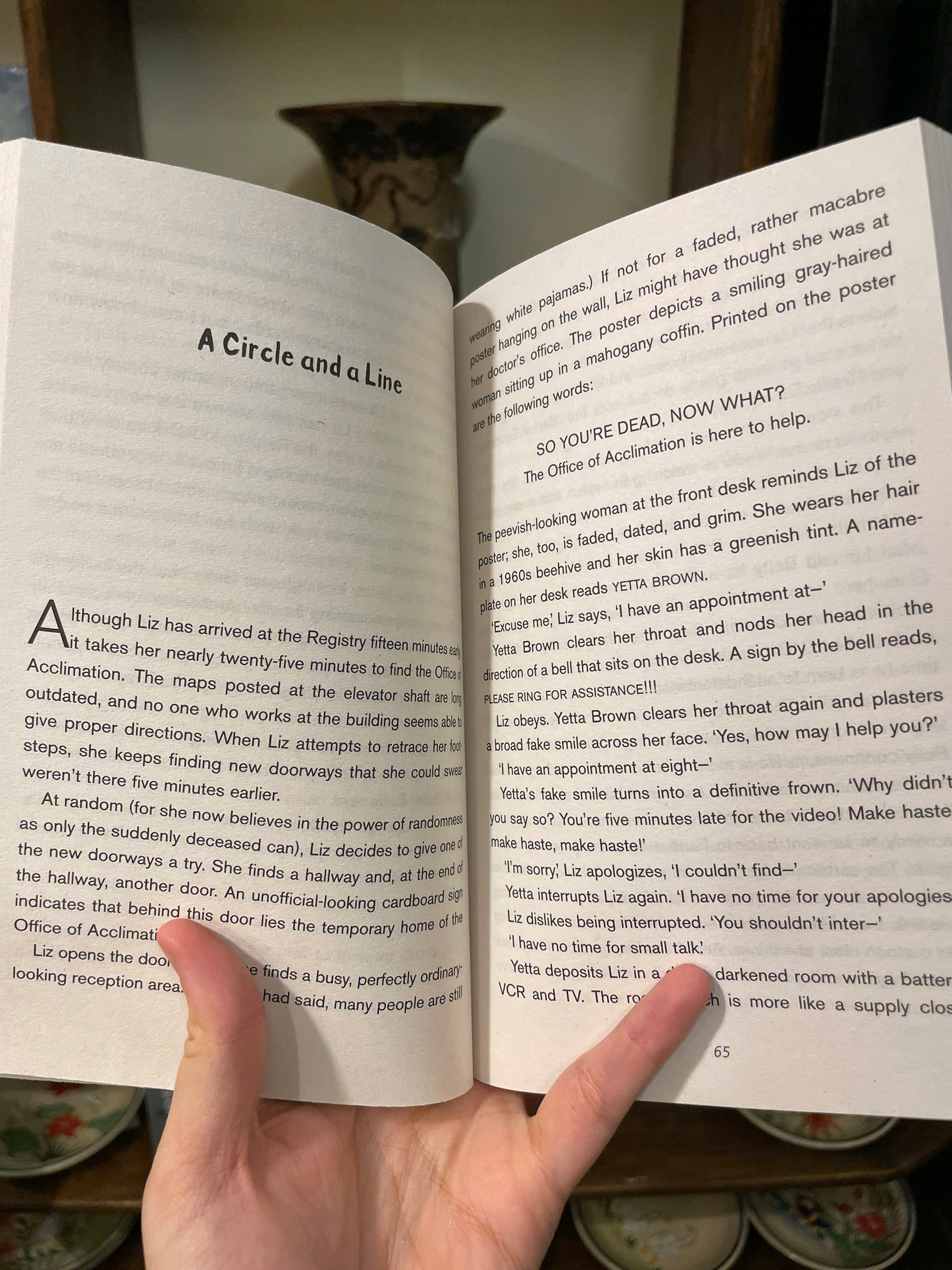 Sách - Elsewhere (Time Magazine's 100 Best YA Book of All Time) by Gabrielle Zevin