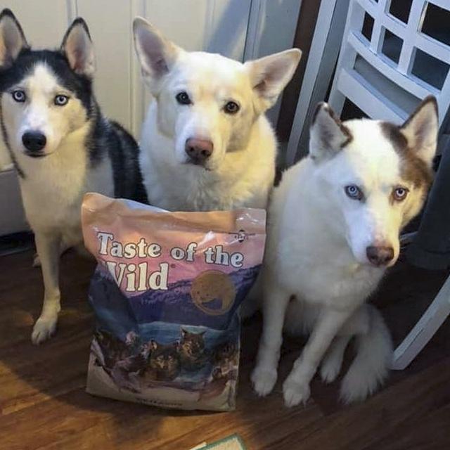 Thức Ăn Cho Chó Husky Taste Of The Wild Bao 2kg - Wetlands Thức Ăn Cho Chó, Vị Thịt Chim Rừng, Trái Cây Rau Củ Quả