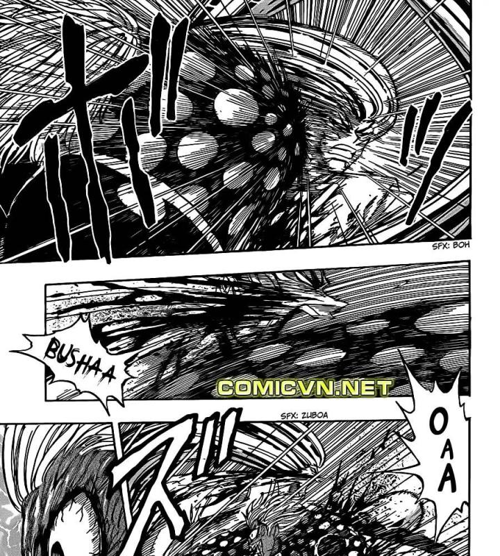 thánh tỏi sành ăn chapter 227 11