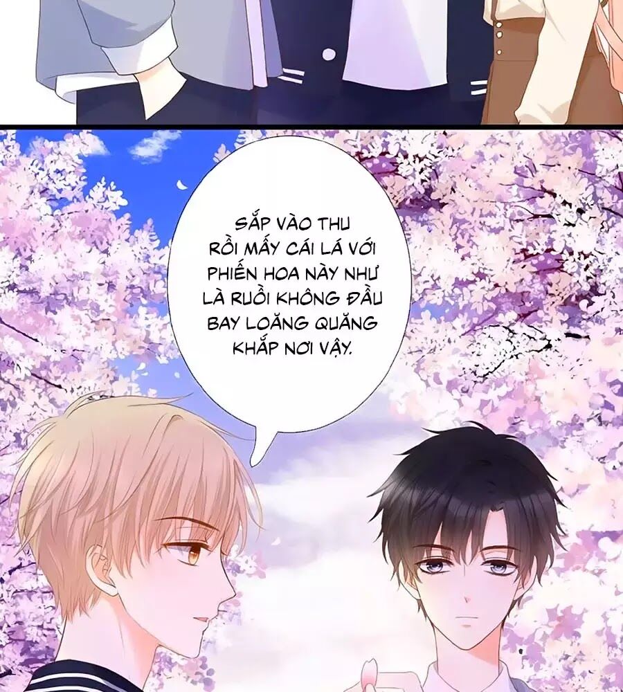 hoa chưa nở rộ chapter 19 25