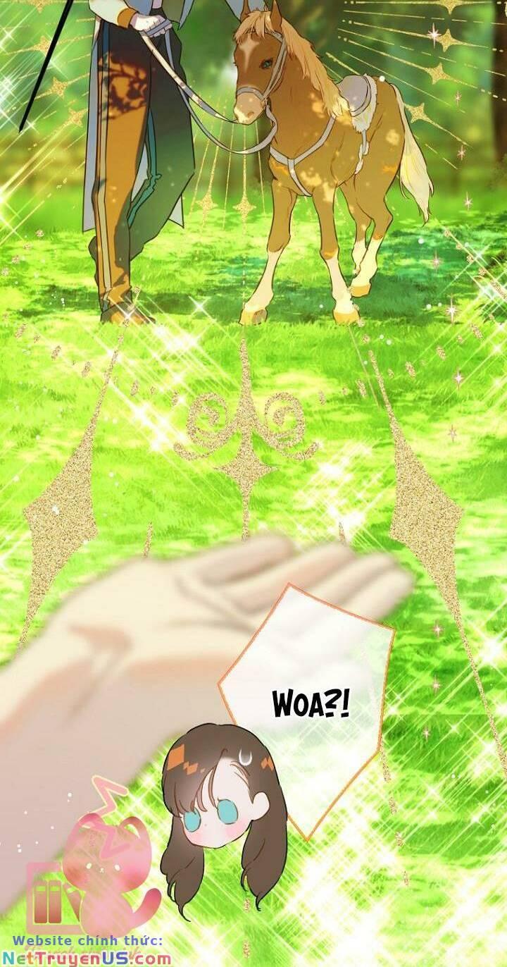 Khế Ước Hôn Nhân Của Mẹ Tôi chapter 44 25