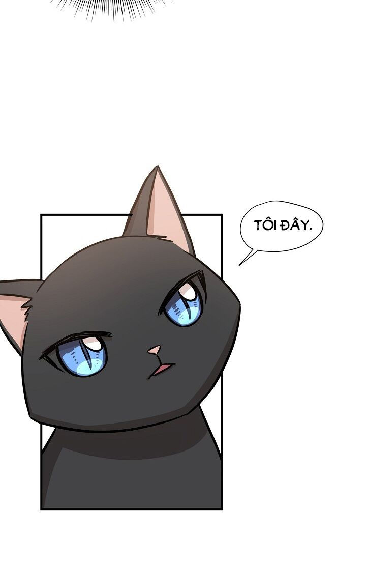 cuộc sống kỳ thú chapter 52 29