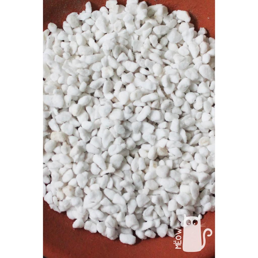 Đá PERLITE (đá trân châu) size 3-6mm nhẹ xốp | Giá thể trồng sen đá, xương rồng, cây nội thất