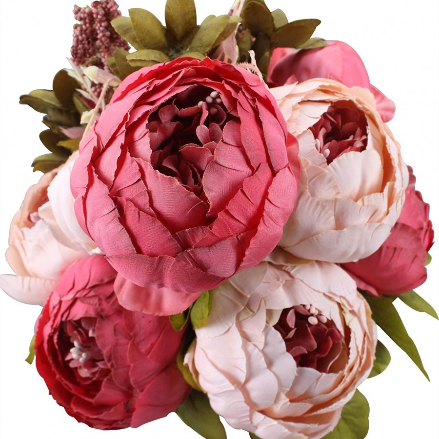 Hoa cẩm chướng cao cấp Peony