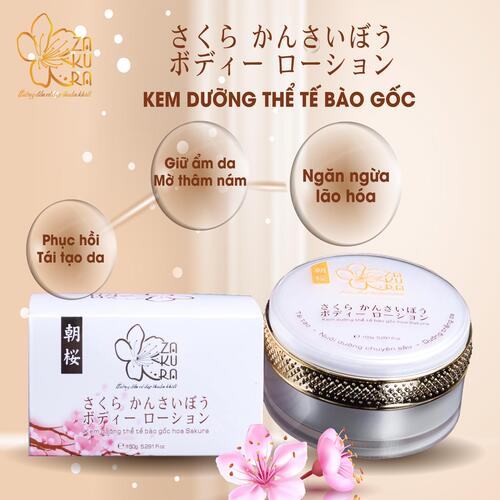 Kem dưỡng thể tế bào gốc hoa Asa Zakura