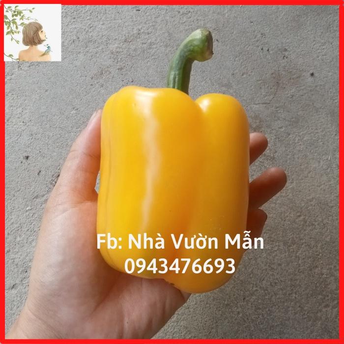 10 Hạt Giống Ớt Chuông Vàng