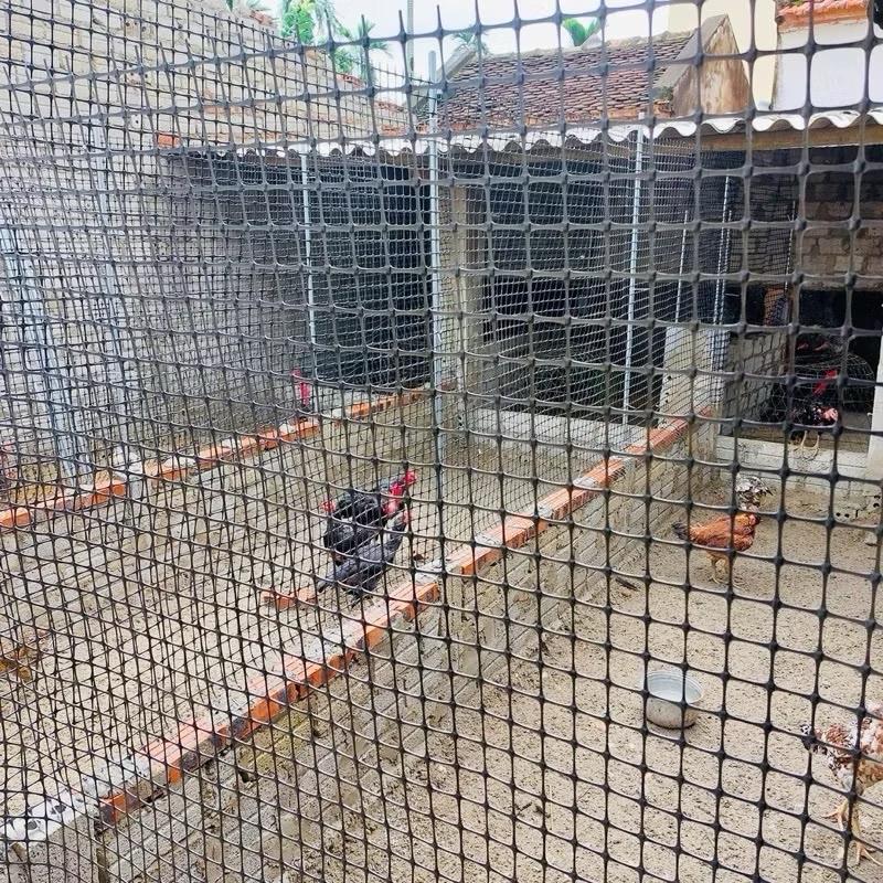 10 mét dài lưới rào gà cao 1 mét