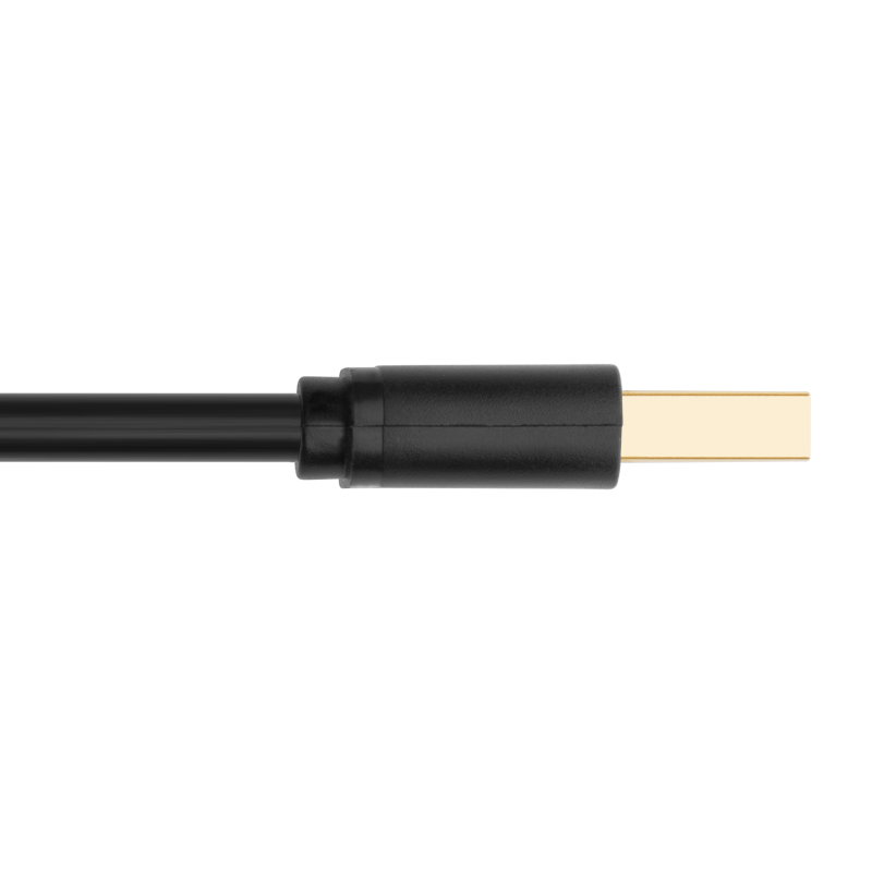 Dây USB 2.0 mạ vàng 2 đầu đực dài 0.25M UGREEN US102 10307 - Hàng Chính Hãng