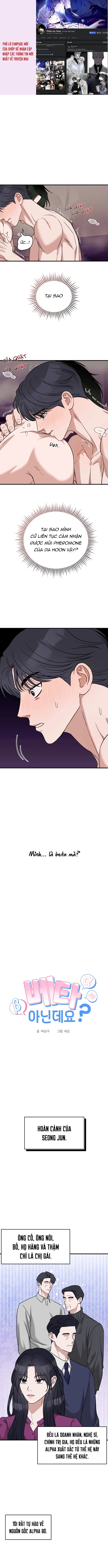 tôi không phải beta đâu nhé! chapter 2 1