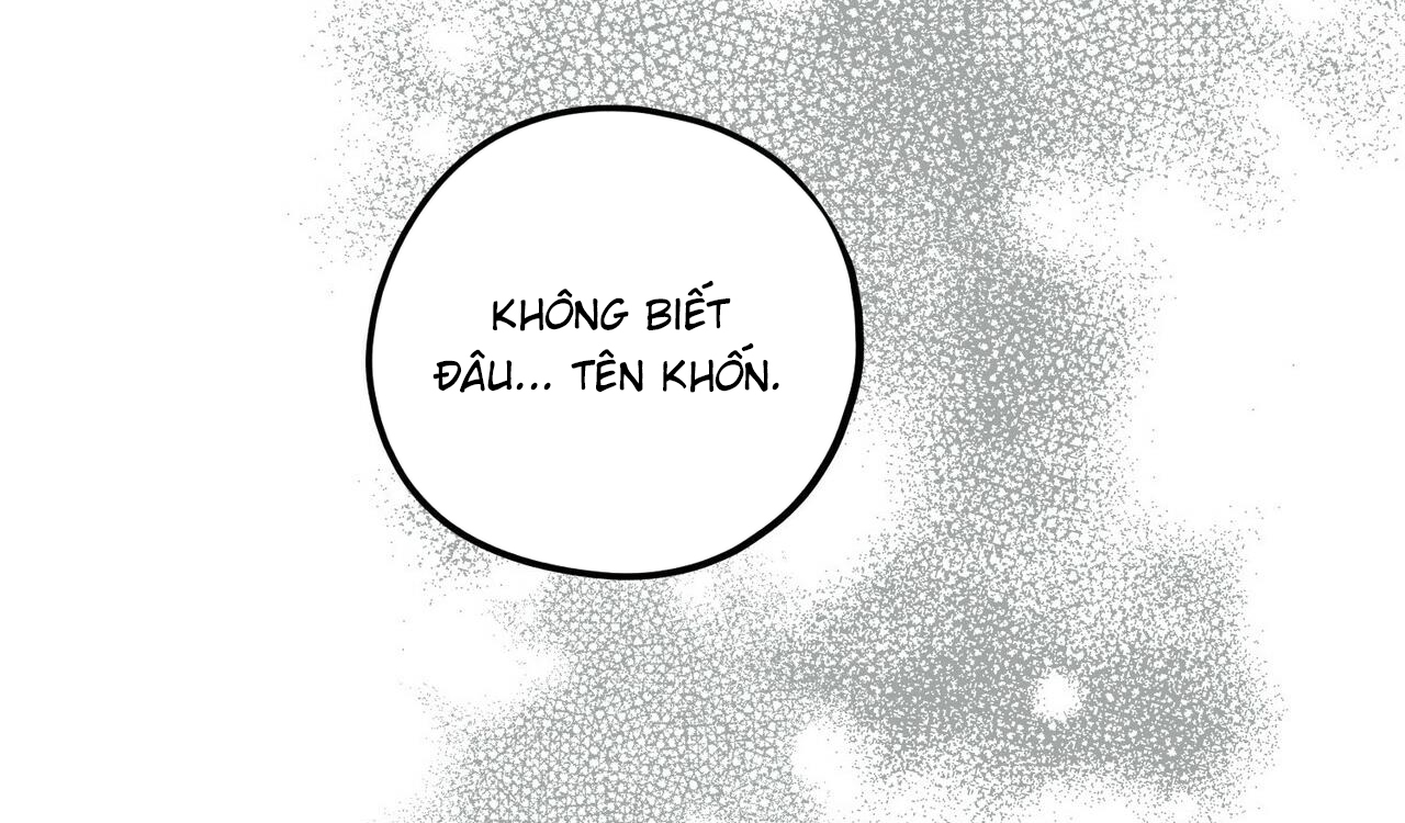 chàng dâu nhà họ kang chapter 29 182