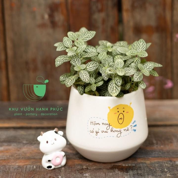 Chậu in hình - Những lời nhắn nhủ dễ thương - Size 7-8cm, quà tặng, trang trí, văn phòng,...