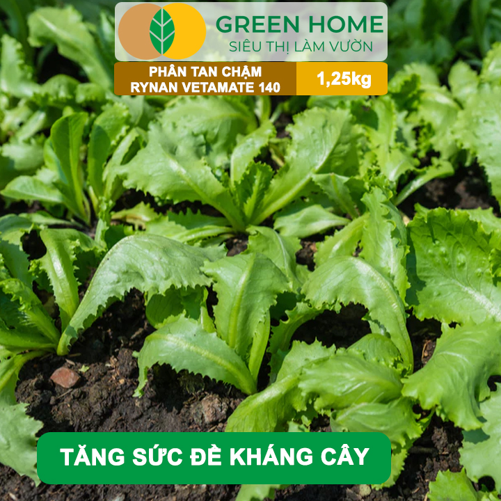Phân Tan Chậm GreenHome Rynan Vetamate 140 NPK 27-08-08+TE (1% Humic), Hũ 1,25 kg, Chuyên Rau Ăn Lá