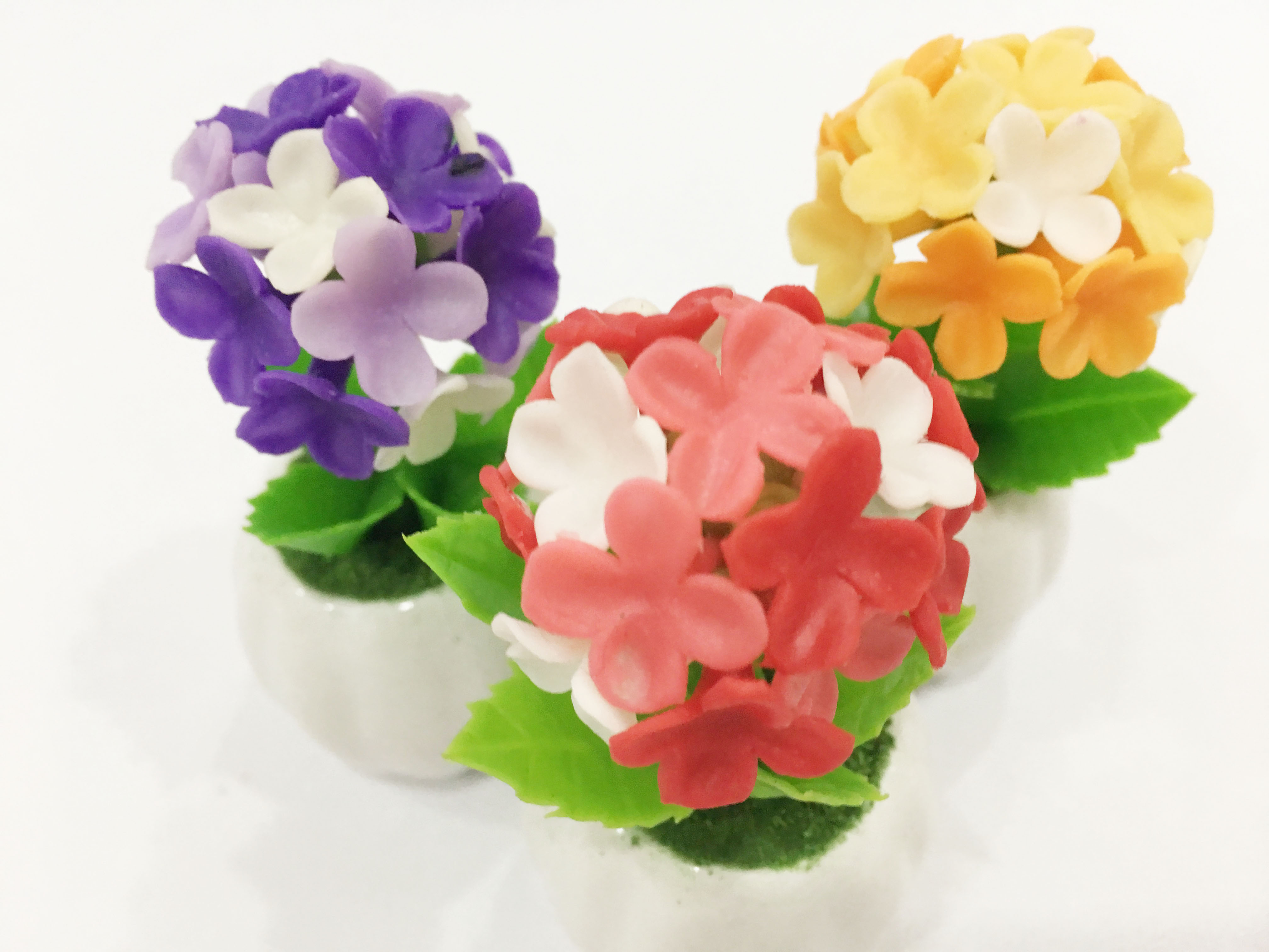 Chậu hoa đất sét mini - Cây hoa sống đời /cây lá bông  - Quà tặng trang trí handmade