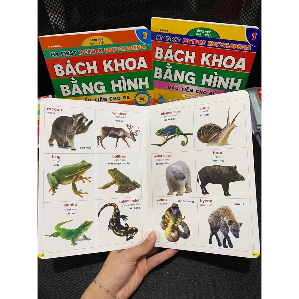 Combo Bách Khoa Bằng Hình Đầu Tiên Cho Bé Theo Chủ Đề - Song ngữ Anh Việt - Quét mã QR nghe đọc