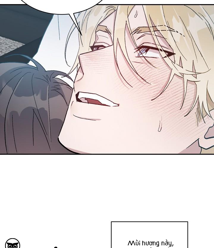 chàng tuấn mã của tôi chapter 39 29