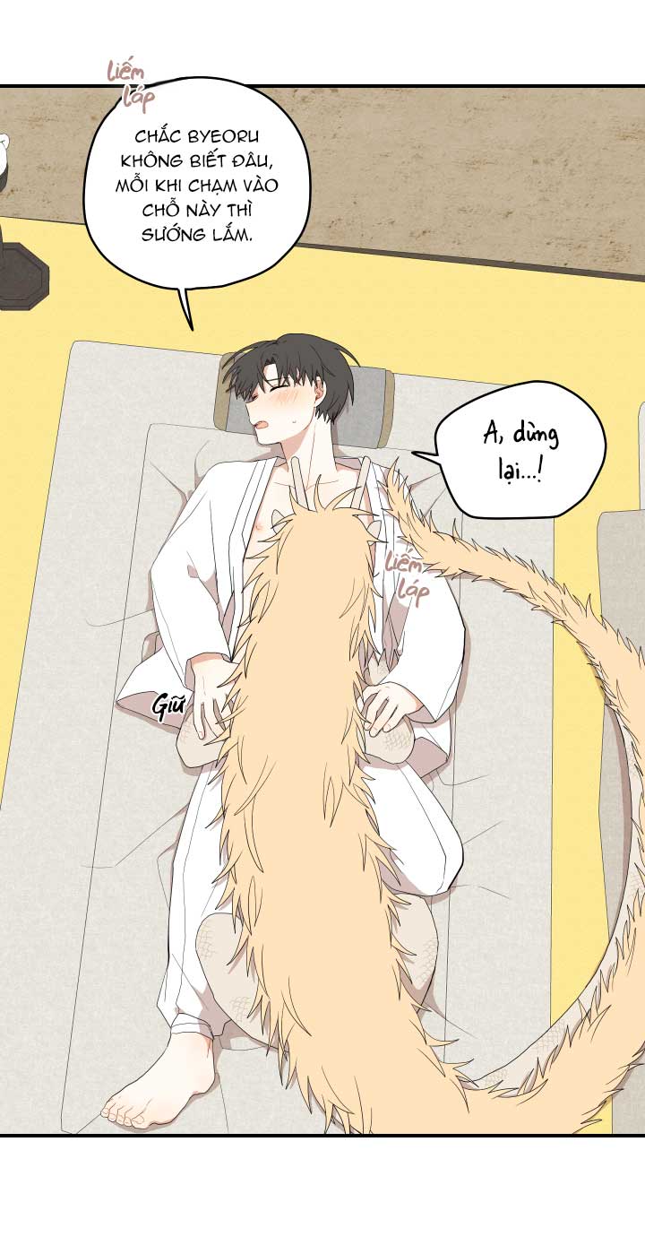 đường hoa liên kiều rơi chapter 21 11