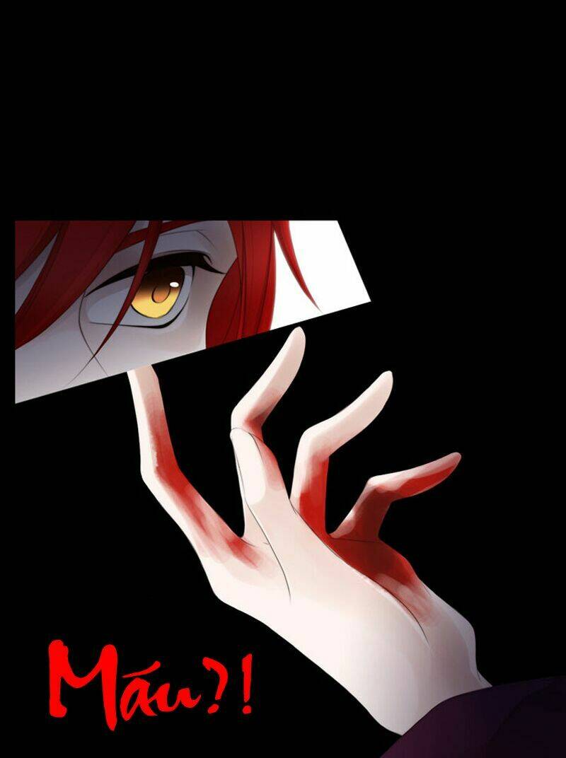 12 nights chapter 11 24