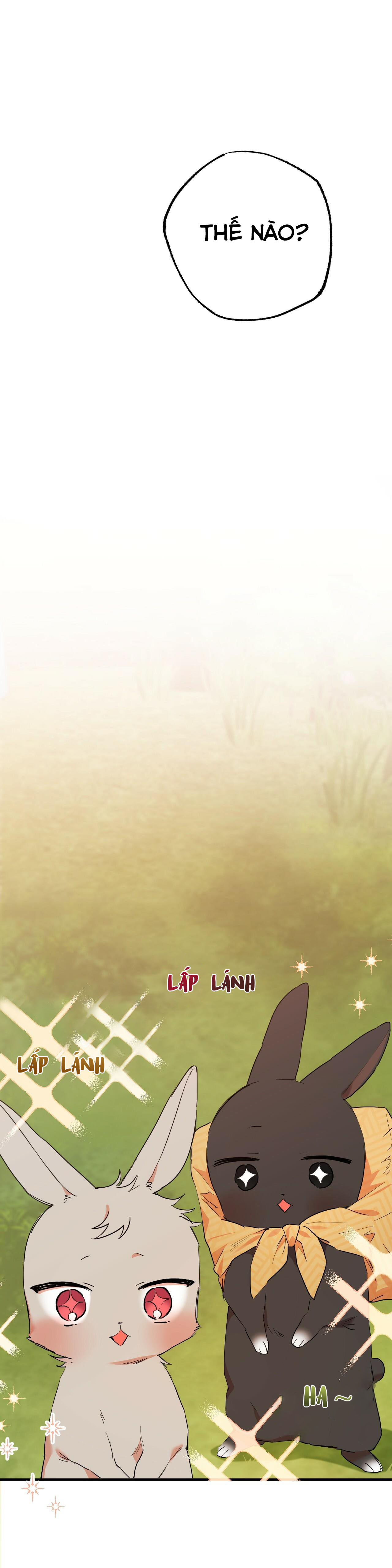 đàn thỏ của habibi chapter 10 25